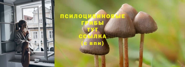 не бодяженный Волоколамск