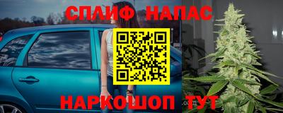 Альфа ПВП Будённовск