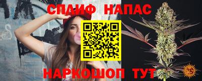 стафф Берёзовский