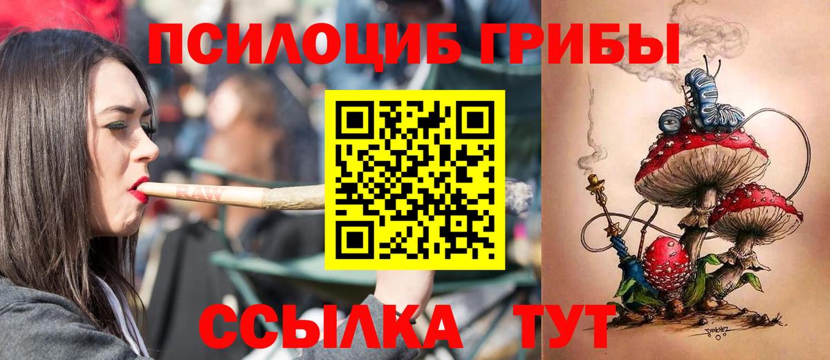 Галлюциногенные грибы прущие грибы Химки