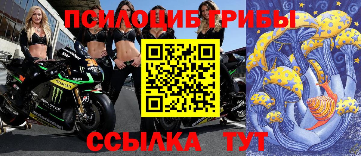 Галлюциногенные грибы Psilocybe  купить закладку  Псилоцибиновые грибы мицелий  Химки 