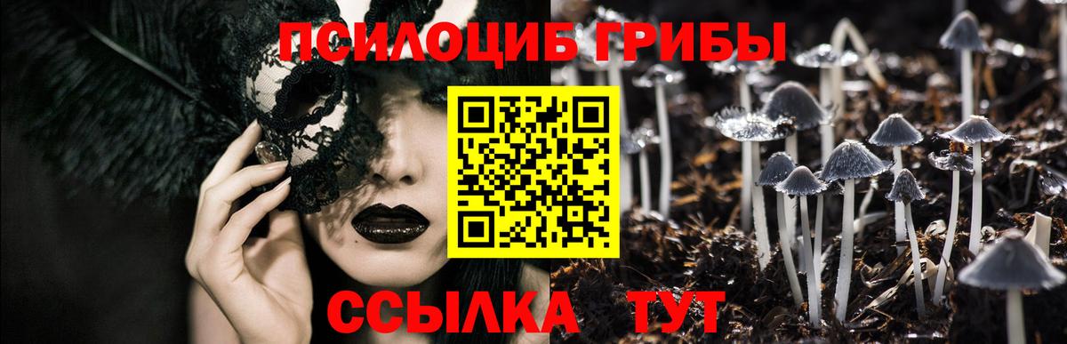 Псилоцибиновые грибы Psilocybine cubensis  Вход с VPN  Химки  Галлюциногенные грибы ЛСД 