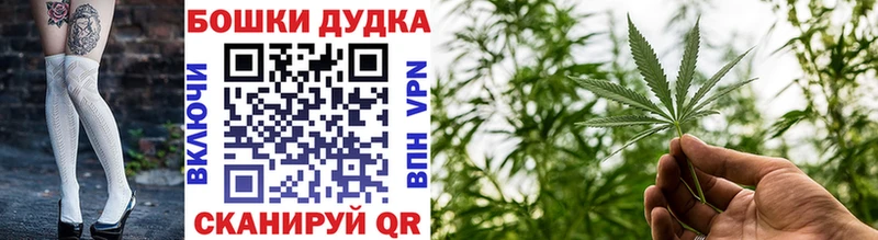 Бошки Шишки план  Химки 